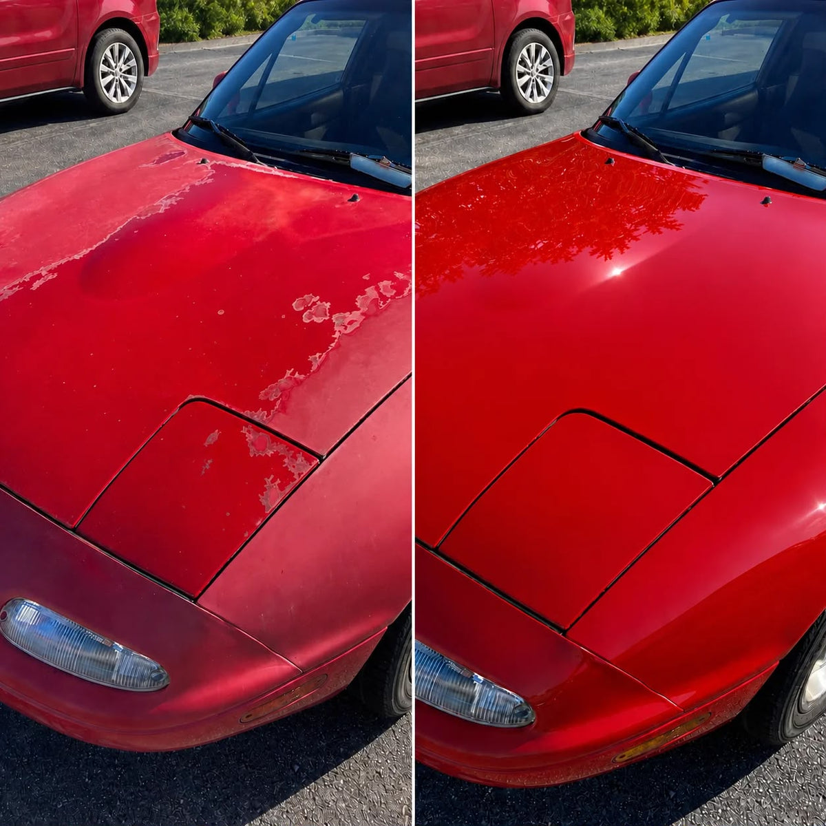 Car Paint Polishing Cream with Application Sponge